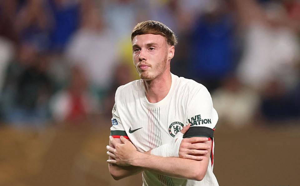 帕尔梅拉斯主场迎战河床，锋线火力引爆看点的简单介绍