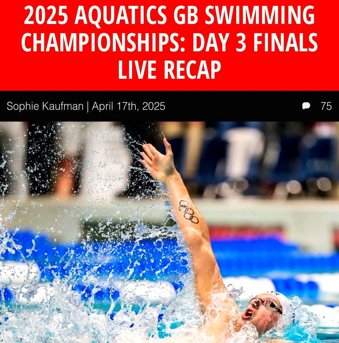 游泳比赛摩洛哥选手刷新纪录，被誉为新宠的简单介绍